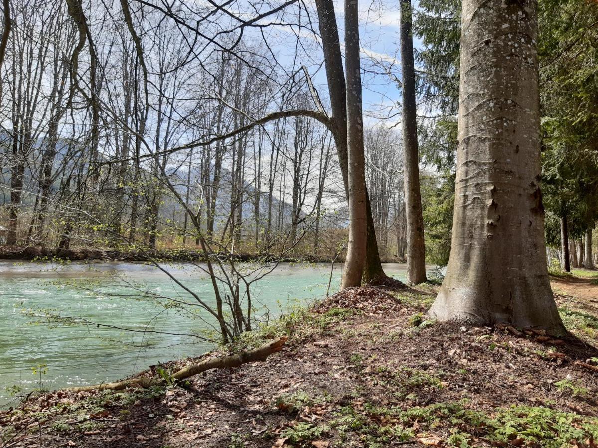 Campingfass Almtal Scharnstein Buitenkant foto