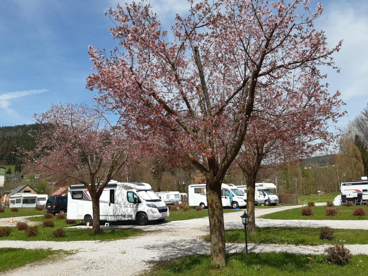 Campingfass Almtal Scharnstein Buitenkant foto